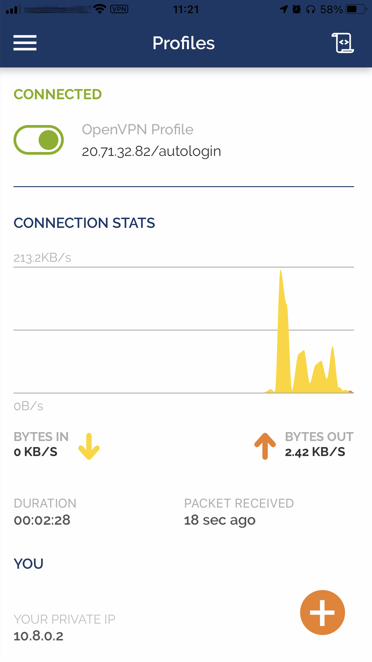 OpenVPN on iPhone connected